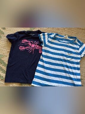 Crewcuts Navy Tee with Pink Lobster Graphic & Blue-White Striped Tee Duo